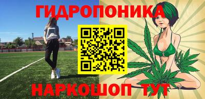 молекула духа Гатчина
