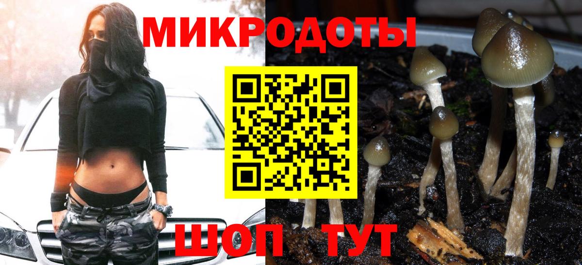 Галлюциногенные грибы Psilocybe  Вход с VPN  Выкса  Галлюциногенные грибы Magic Shrooms 